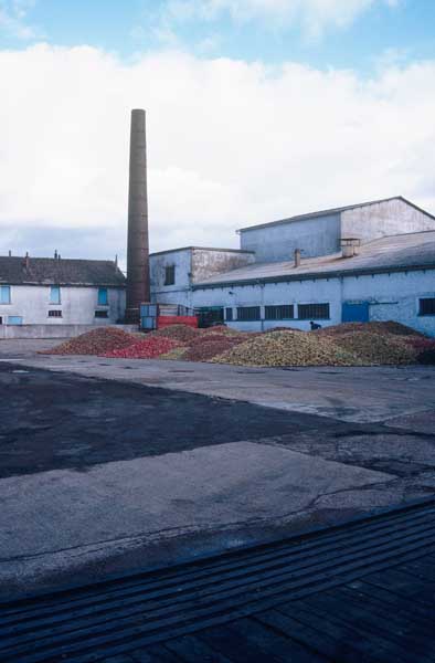 cidrerie distillerie dite cidrerie François, actuellement S.A. les Distilleries Françaises