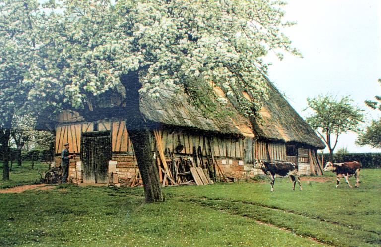 maisons et fermes de Hauville