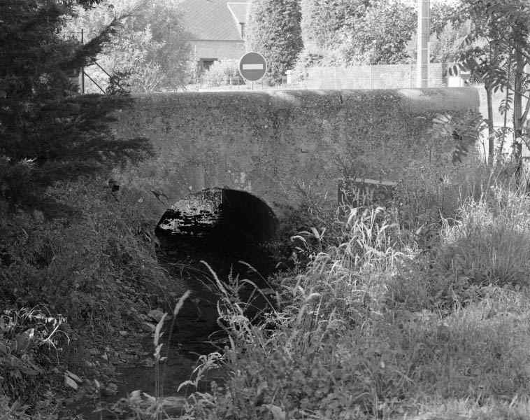 pont