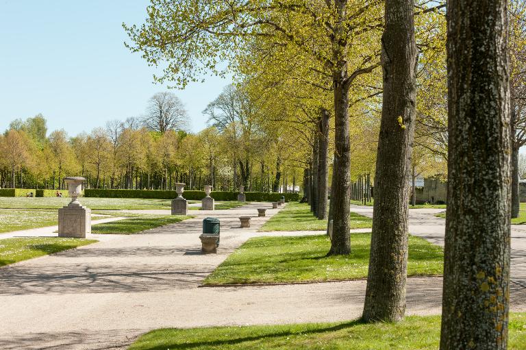 Alignement de tilleuls entre le parterre engazonné et l'allée secondaire sud.
