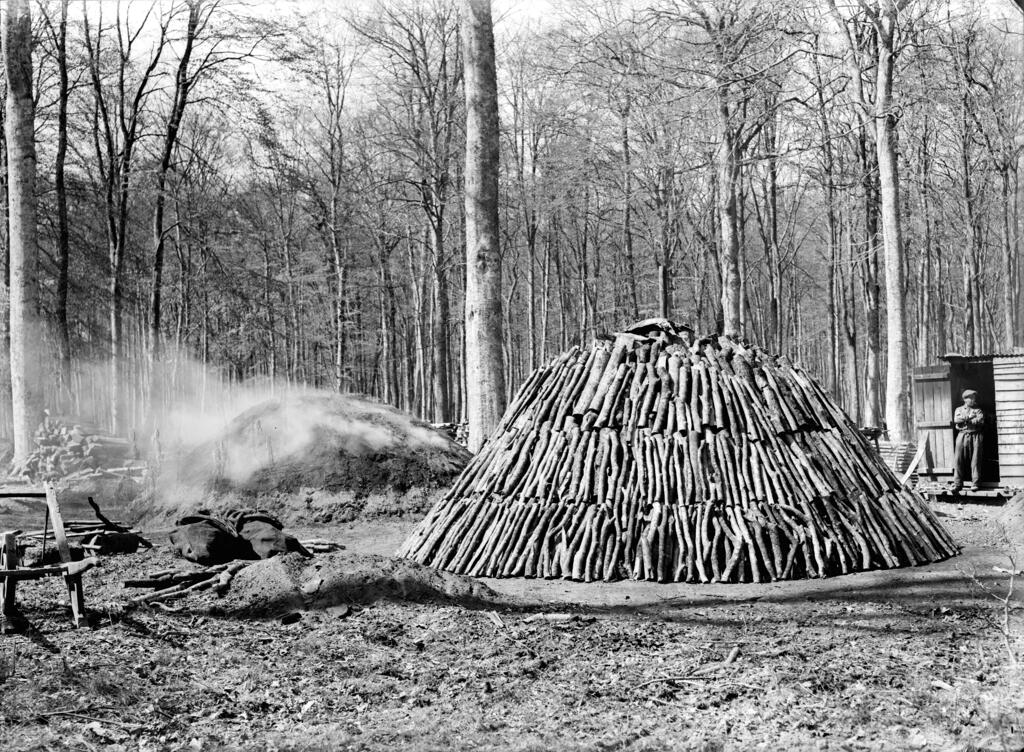 présentation de l'aire d'étude : Arelaune-en-Seine (La Mailleraye-sur-Seine, Saint-Nicolas-de-Bliquetuit), Notre-Dame-de-Bliquetuit, Vatteville-la-Rue
