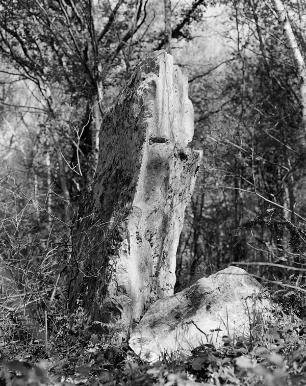 menhir dit la Pierre Piquet