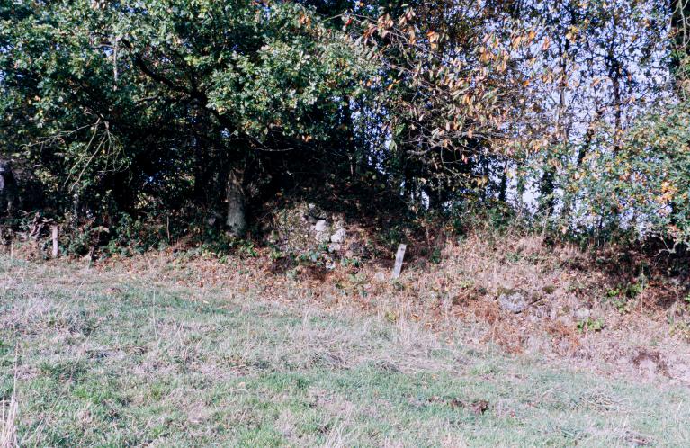 La céramique industrielle dans le Bessin (Calvados) et le département de la Manche : les poteries