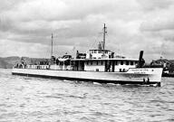remorqueur fluvial (remorquage de barges sur le Rhône) puis bateau à passagers dit FREDERIC MISTRAL