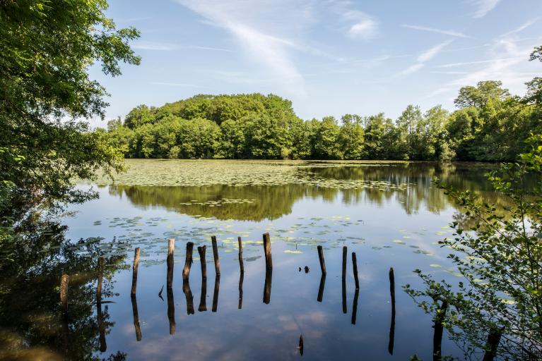 L'architecture rurale du parc naturel régional du Perche