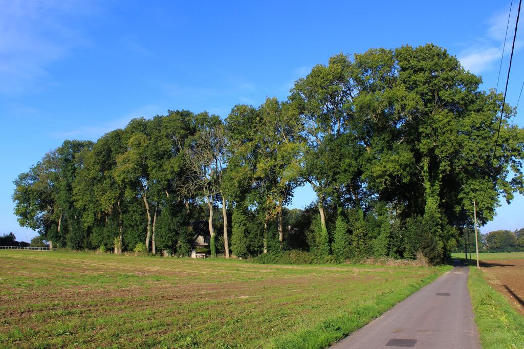 ferme Rouleau, actuellement maison