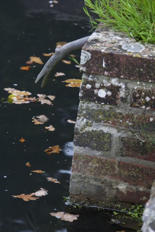 tréfilerie actuellement pisciculture