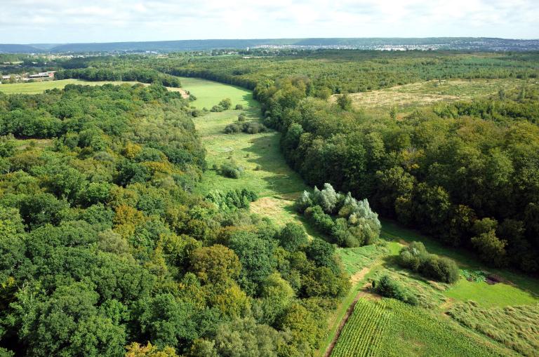 Massif de Brotonne, vue aérienne par cerf-volant depuis le Torp. 