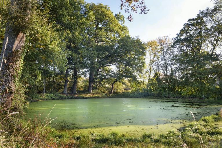 présentation de la commune de Barneville-sur-Seine