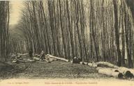 Forêt domaniale de Lyons - exploitation forestière.- Carte postale, photogr. A Lavergne, Vernon, vers 1910 (Collection particulière).