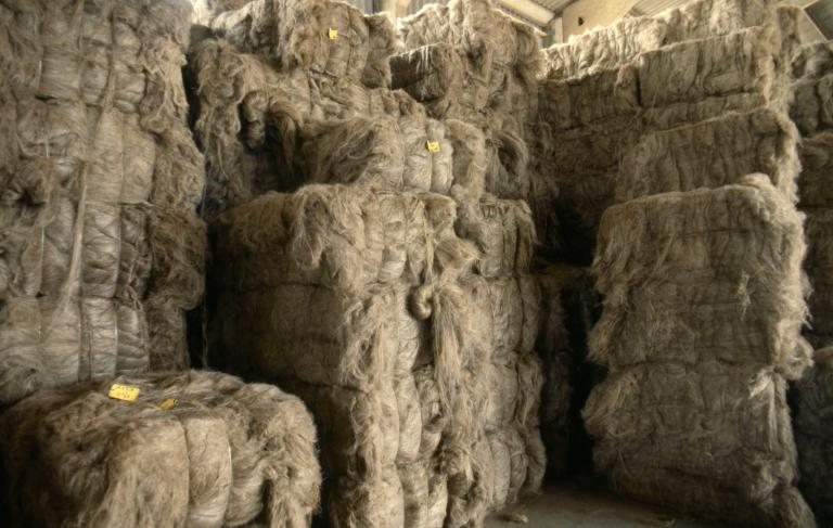 usine de teillage de lin, dite coopérative linière du Roumois puis coopérative Terre de Lin