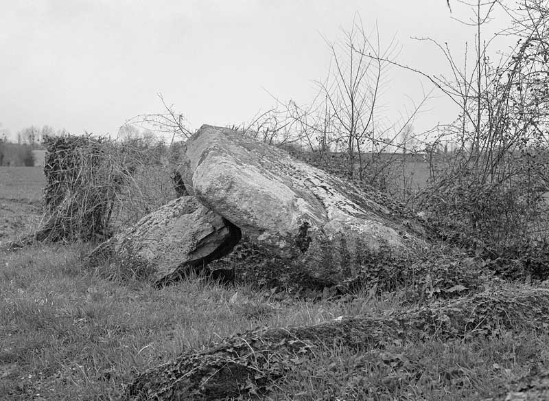 dolmen dit la Pierre Levée