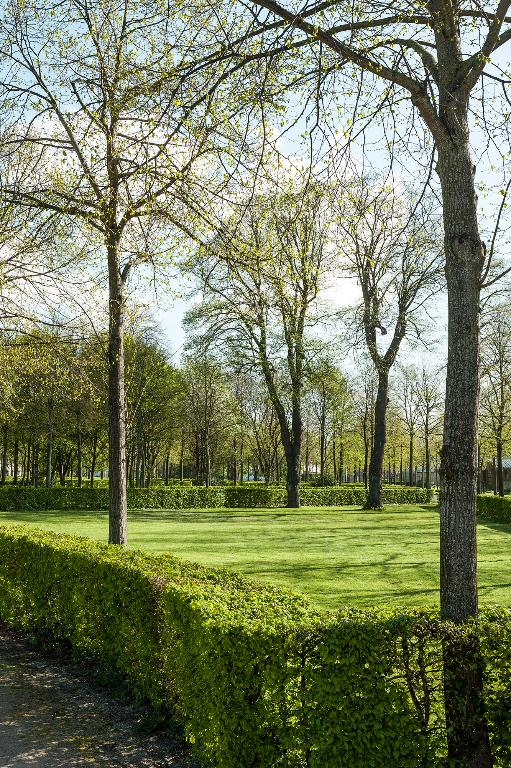 Quinconce bordé de charmilles et planté d'arbres de haute-tige en alignement.