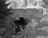 pont