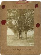 ifs millénaires, chapelle Sainte-Anne-des-Ifs et oratoire Notre-Dame-de-Lourdes