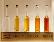 distillerie du Père Magloire