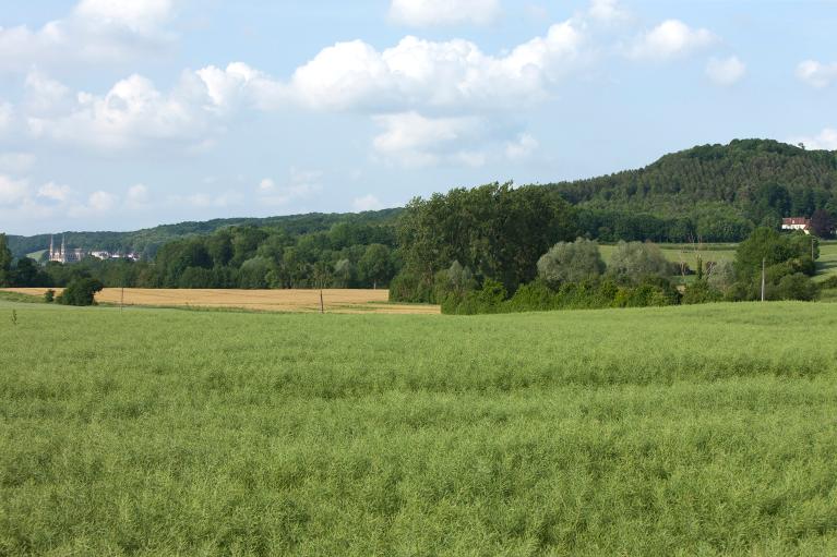 Vue lointaine du bourg et du mont Ligeon depuis l'ouest.