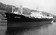 bateau de marchandises en vrac : cargo (minéralier) dit AMPHIOPE, puis AMPHIOPEA