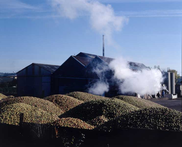 cidrerie distillerie