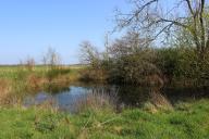 Les mares d'Etreville