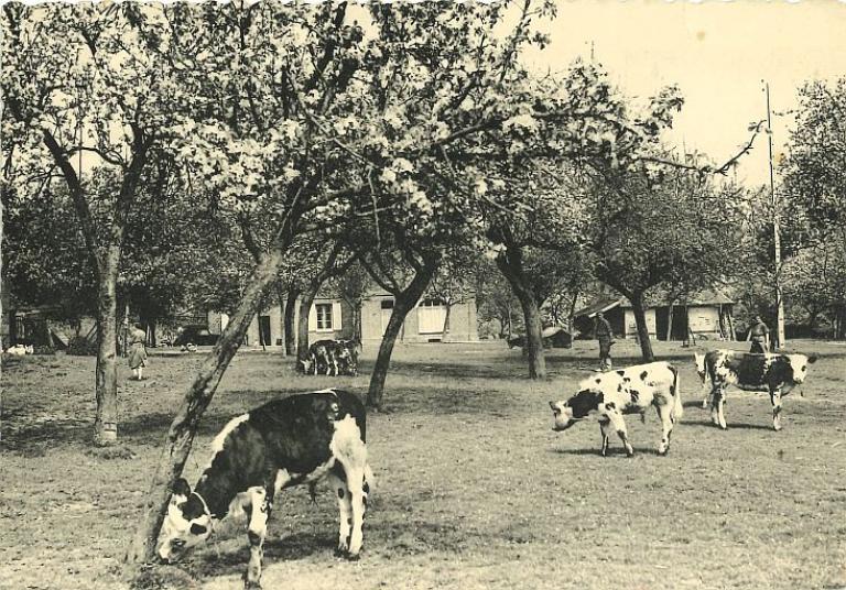 ferme du Val Coquin