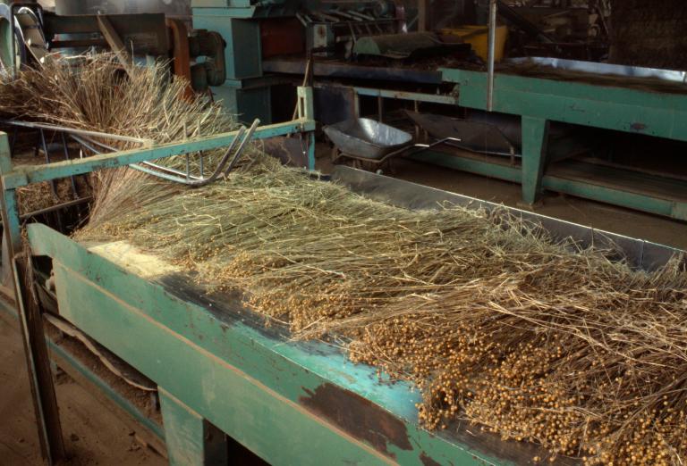 usine de teillage de lin, dite coopérative linière du Roumois puis coopérative Terre de Lin