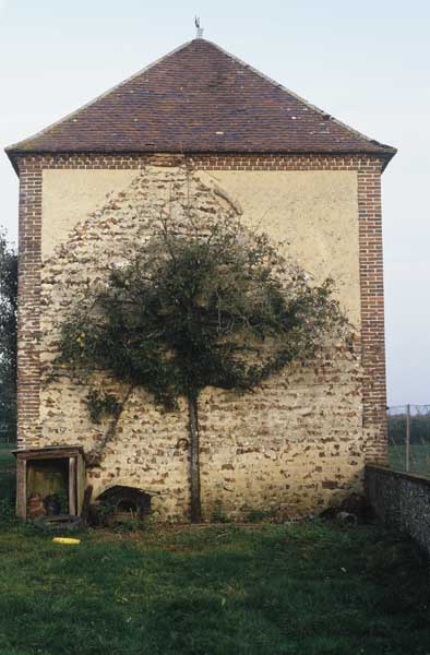 usine de flaconnage