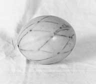 objet monté : oeuf d'autruche