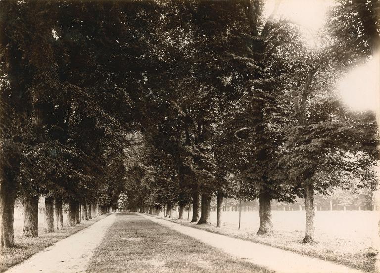 Allée secondaire du parc bordée de tilleuls alignés.- Photographie ancienne (tirage d'une photographie sur plaque de verre), vers 1900. (Archives diocésaines de Bayeux et Lisieux).