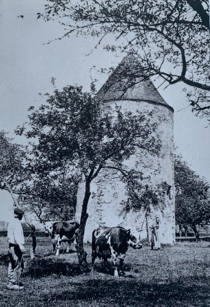 Le moulin à vent de Bel-Air vers 1950, avant destruction.- Photographie ancienne (coll. part.).