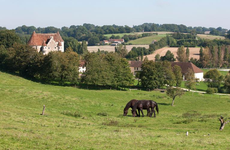 Vue générale depuis le sud-ouest.