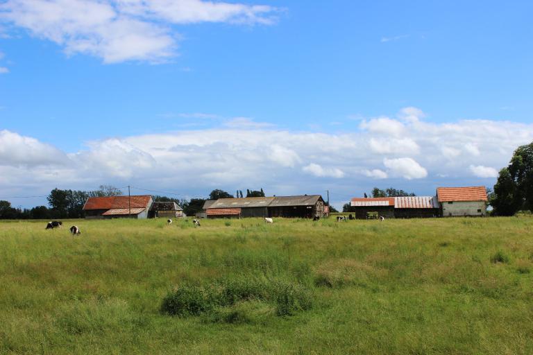 ferme du Bourdonney