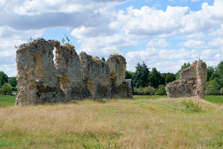 château-fort, dit château des comtes de Meulan