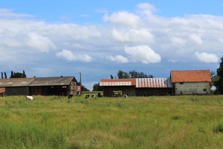 ferme du Bourdonney