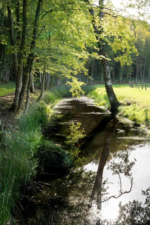 Vue des fossés en eau longeant le domaine monastique au sud-est.