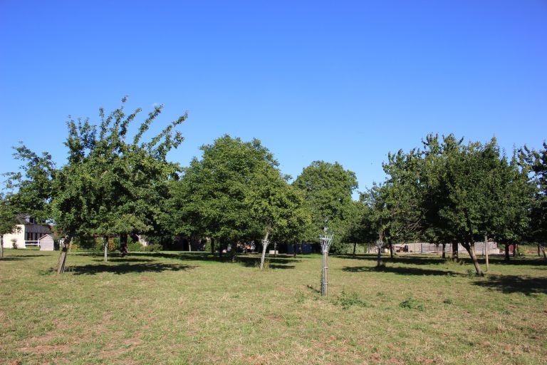 Les maisons et fermes de Honguemare-Guenouville