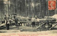 Forêt de Lyons - Sciage de traverses - entreprise de sciage et battage à vapeur à domicile Emile DANIEL Fils à Margny (Eure).- Carte postale, photogr. Ponsin à Etrépagny, vers 1910 (Collection particulière).