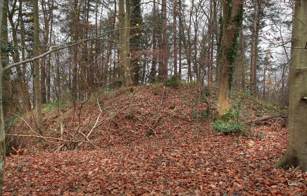 ensemble fortifié de trois mottes féodales