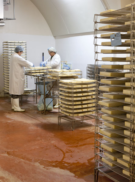 fromagerie industrielle Graindorge