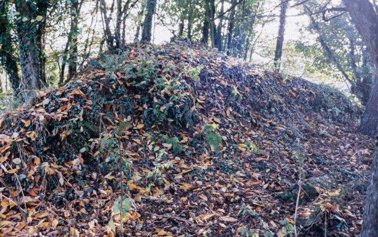 La céramique industrielle dans le Bessin (Calvados) et le département de la Manche : les poteries