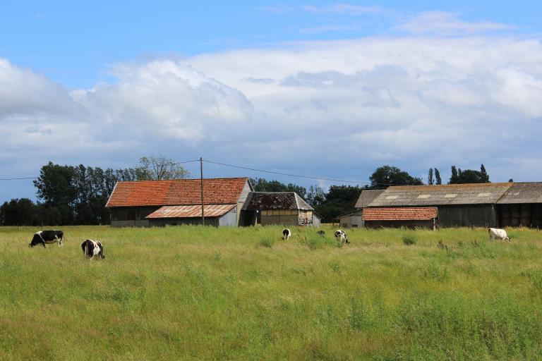 ferme du Bourdonney