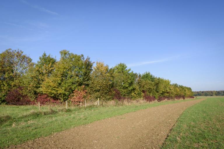 présentation de la commune du Landin