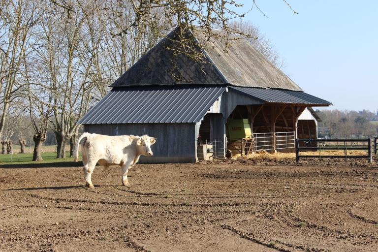 maisons et fermes de Hauville