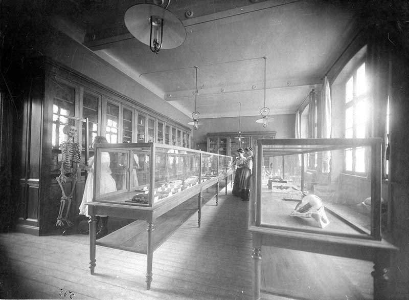 lycée actuellement collège de la Bucaille