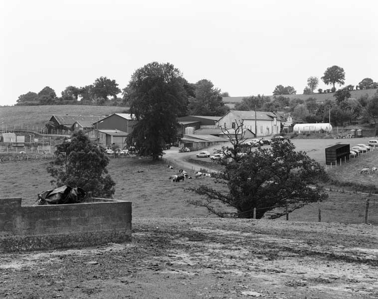 fromagerie industrielle