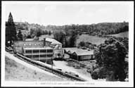 moulin à farine dit moulin de Tesson, puis moulin à huile, puis moulin à tan, puis tannerie dite Manufacture de cuirs - Usine du Tesson - Paul Dédrie, puis Anciens établissements Dédrie, puis Les Tanneries de Normandie