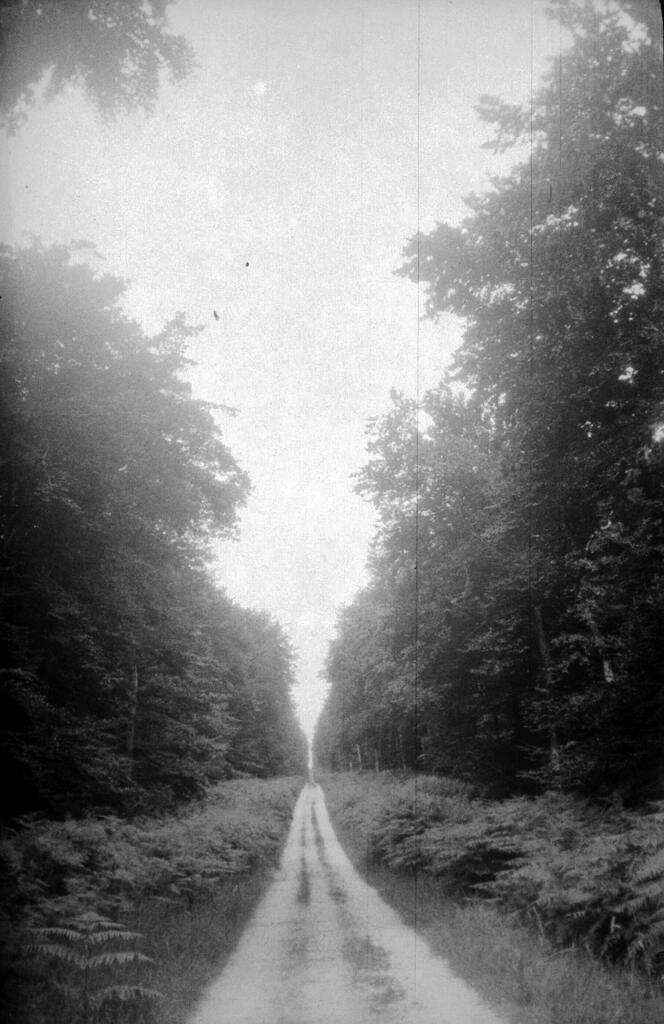 présentation de l'aire d'étude : Arelaune-en-Seine (La Mailleraye-sur-Seine, Saint-Nicolas-de-Bliquetuit), Notre-Dame-de-Bliquetuit, Vatteville-la-Rue