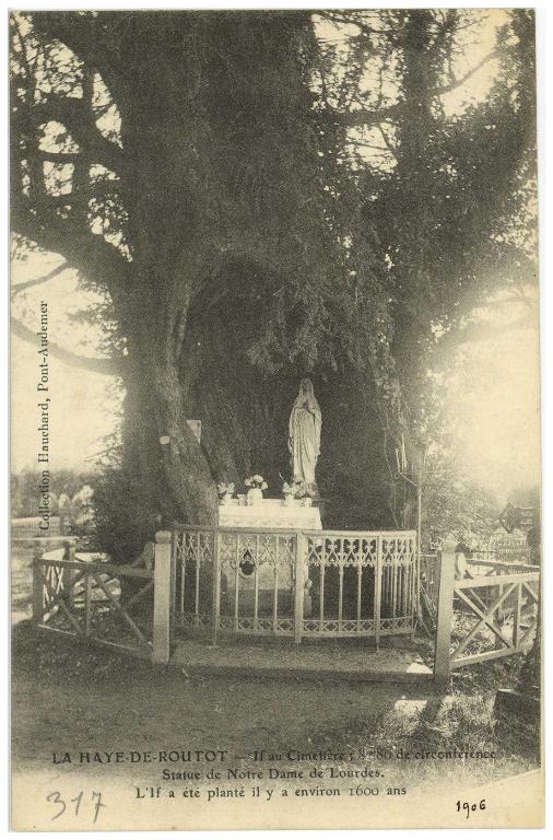 ifs millénaires, chapelle Sainte-Anne-des-Ifs et oratoire Notre-Dame-de-Lourdes