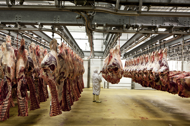 abattoir municipal et usine de produits agro-alimentaires Promoviande, puis Soviba Villers-Bocage, puis Elivia