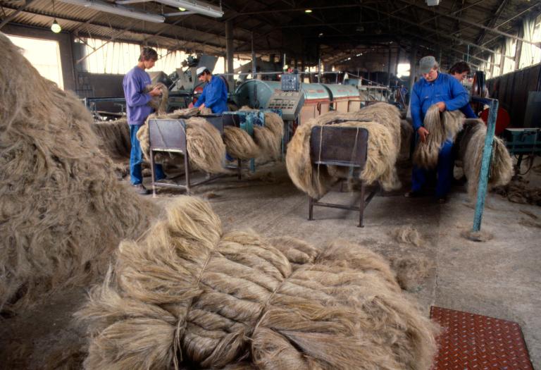 usine de teillage de lin, dite coopérative linière du Roumois puis coopérative Terre de Lin